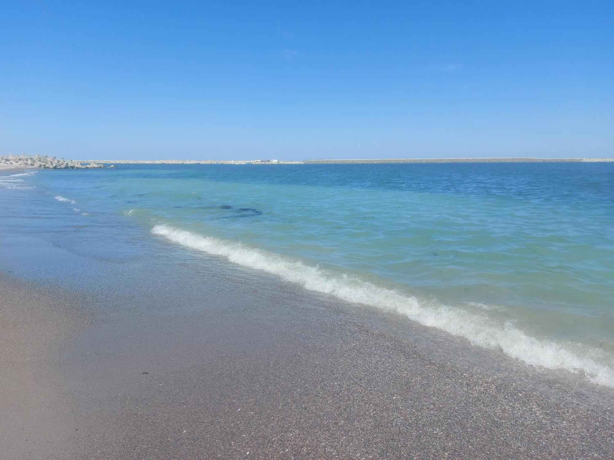 Flomar By The Sea Apartment Mangalia Exterior photo